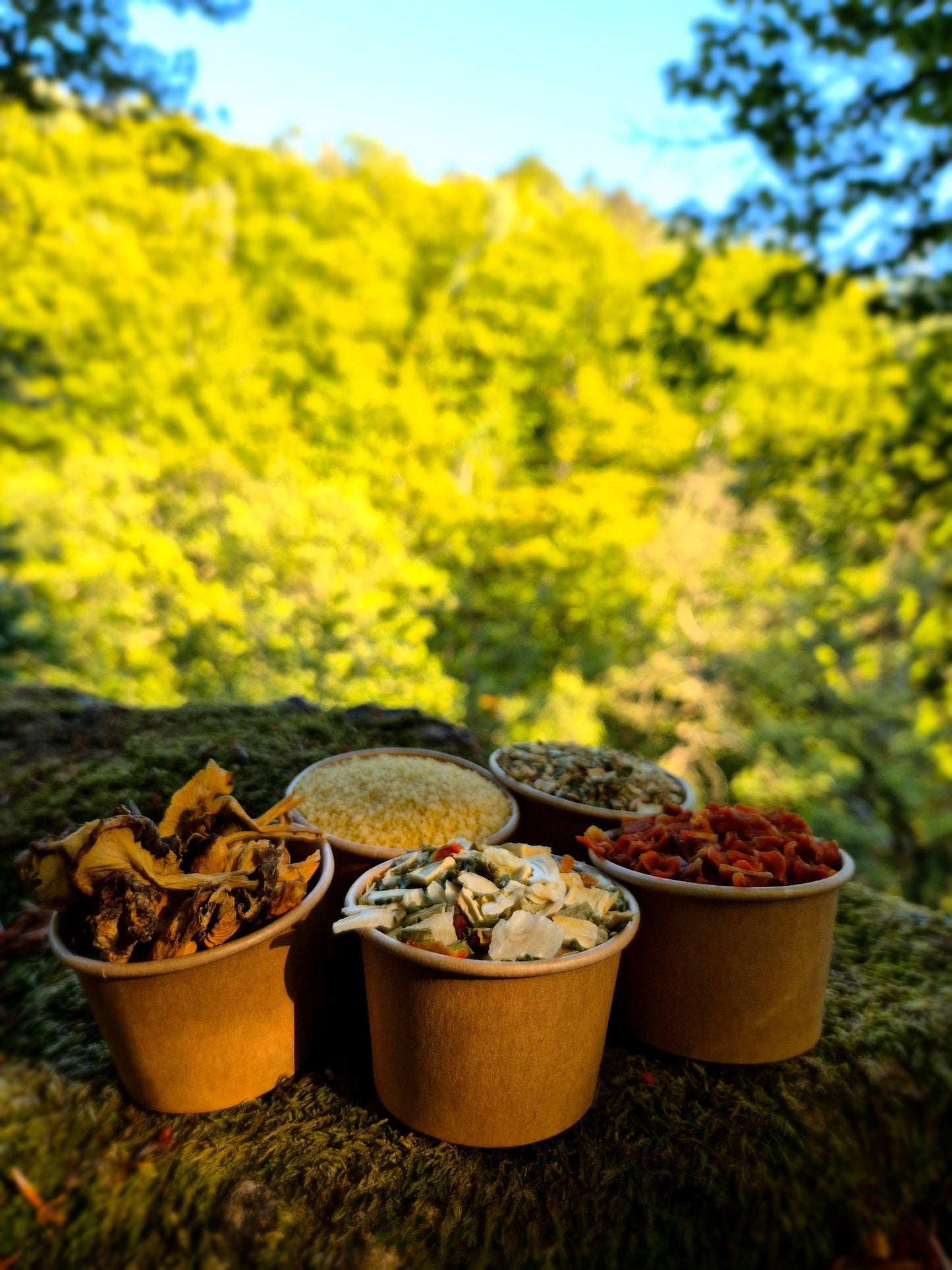 Paket Torkade Basingredienser – Mellan