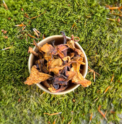 Torkade kantareller friluftsmat 